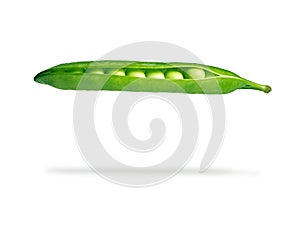 Fresh pea pod, closeup
