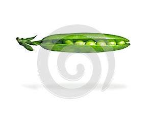 Fresh pea pod, closeup
