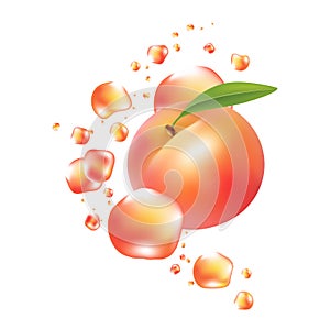 Fresh peach fruit vector. Realictyc image.