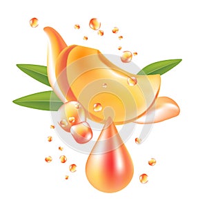 Fresh peach fruit vector. Realictyc image.