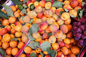 Fresh peaches