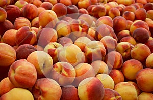 Fresh peaches photo