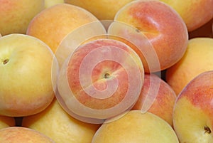 Fresh peaches or apricots