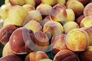 Fresh peaches (Prunus persica) background close up photo