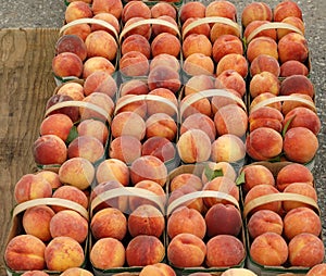 Fresh Peaches in a Basket at the Farmer's Market