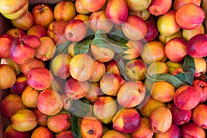 Fresh peaches, close up in the market. Raw fruits close up.