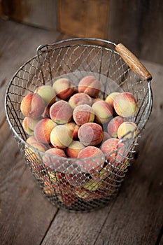 Fresh peaches fruits in basket on dark wooden rustic background, top view. Summer harvest of fruit. Still life. A group