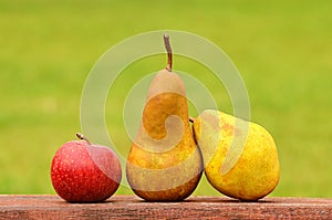 Fresh pear and apple after harvest