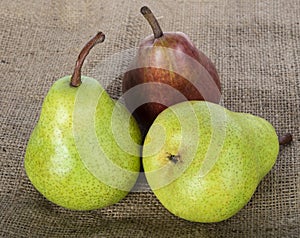 Fresh pear fruit on sackcloth