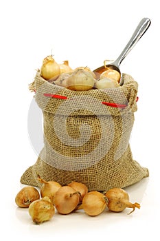 Fresh pearl onions in a burlap sack