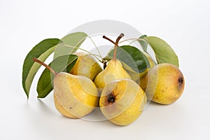 Fresh pears