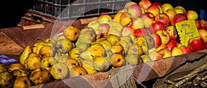 Fresh pears and apples at a farmers market