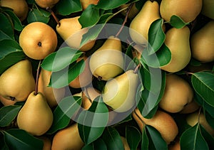 Fresh pears background, top view