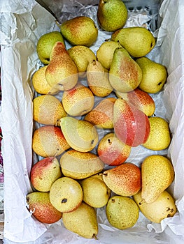 Fresh pears are in a drawer
