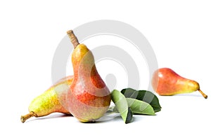 Fresh pears fruit isolated on white