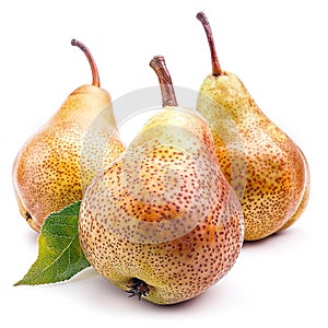Fresh pears isolated background white background. Pearpear, pear fruit, pear on white, asian pear photo