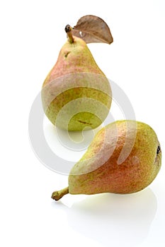 fresh pears on white background studio shot 2