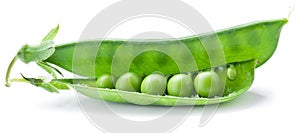 Fresh peas are contained within a pod.