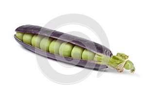 Fresh peas in purple pod