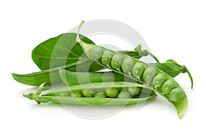 Fresh peas on white