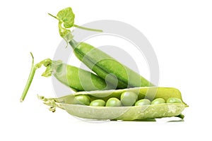 Fresh peas