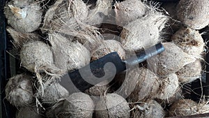 Fresh peeled coconuts