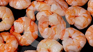 fresh peeled shrimps closep up