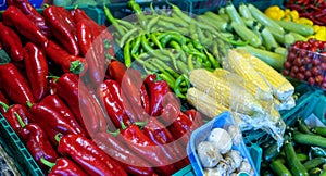 Fresh peppers, corn, asparagus and other vegetables