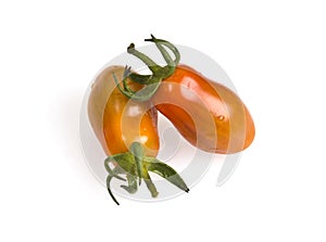 Fresh Perino Tomatoes