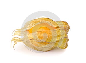 Fresh physalis cape gooseberry on white