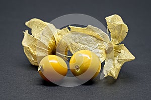 Fresh physalis fruit on black background