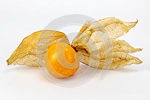 Fresh Physalis Fruit, Cape Gooseberry