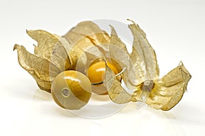 Fresh physalis fruit on white background