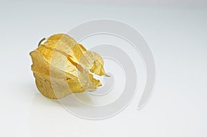 Fresh physalis fruit on white background