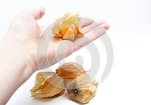 Fresh physalis in the hand isolated on white background.