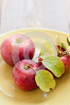 Fresh picked apples on a plate