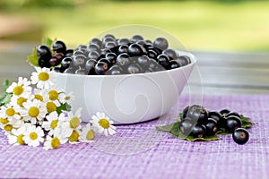 Fresh picked black currant berries and camomile flowers on a table outdoors in the garden, summer farm food, vitamins and harvest