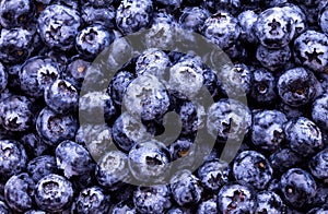 fresh picked blueberries