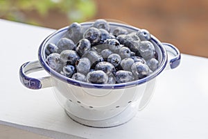 Fresh picked Blueberries sieve