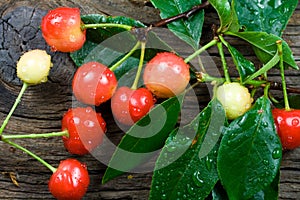 Fresh-picked Cherries