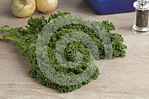 Fresh picked curly kale leaves