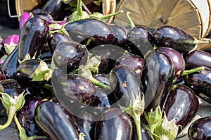 fresh picked eggplant for sale at farmers market