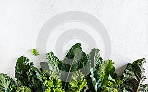 Fresh picked greens from the garden, collards, kale, broccoli