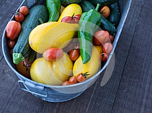 Fresh picked home garden vegetables