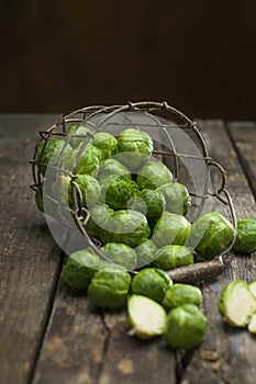 Fresh picked organic Brussels sprouts