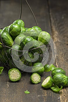 Fresh picked organic Brussels sprouts