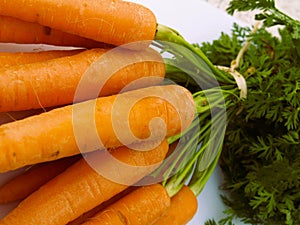 Fresh picked organic carrots