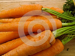 Fresh picked organic carrots