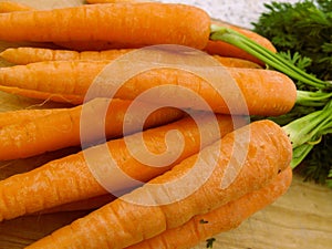 Fresh picked organic carrots