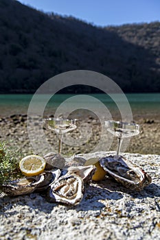 Fresh picked oysters on sea coast with silver glasses